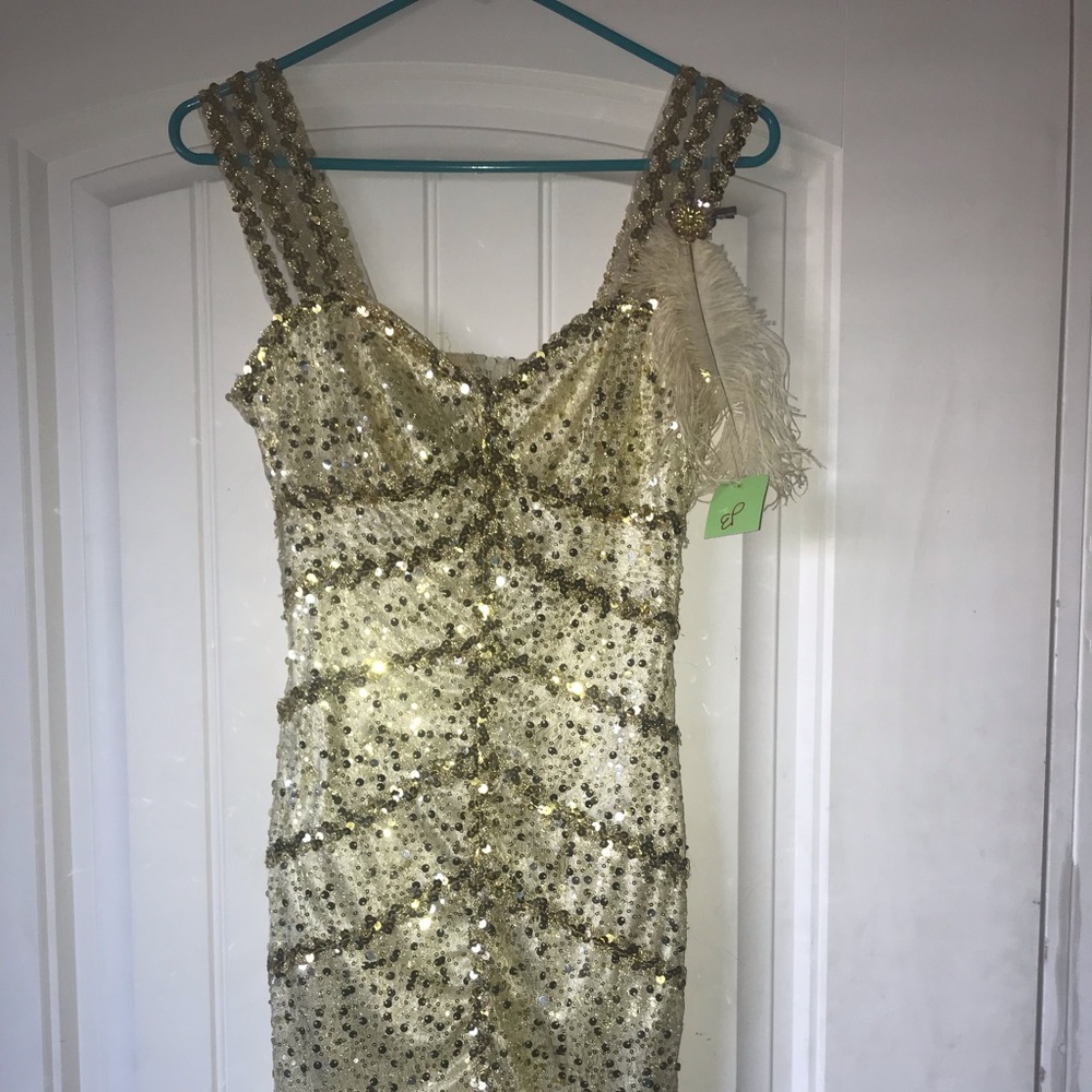 1920’s great gatsby flapper dress